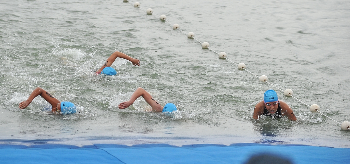 场面火爆！游泳观众席沸腾不已