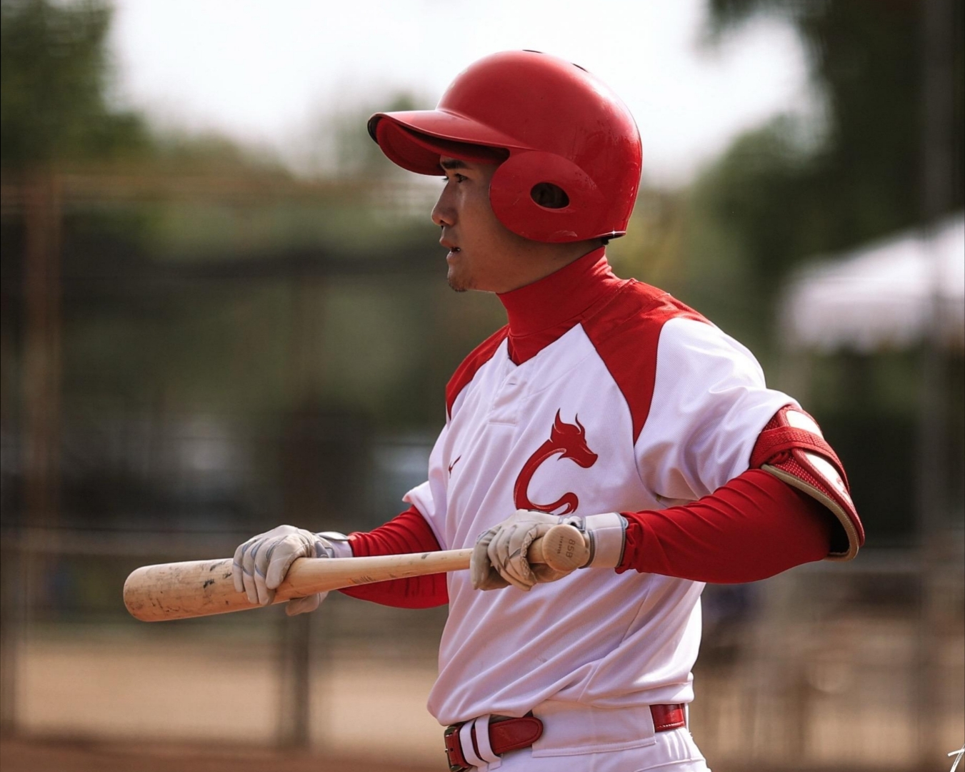 关于棒球选手发挥出色，荣膺最佳MVP的信息