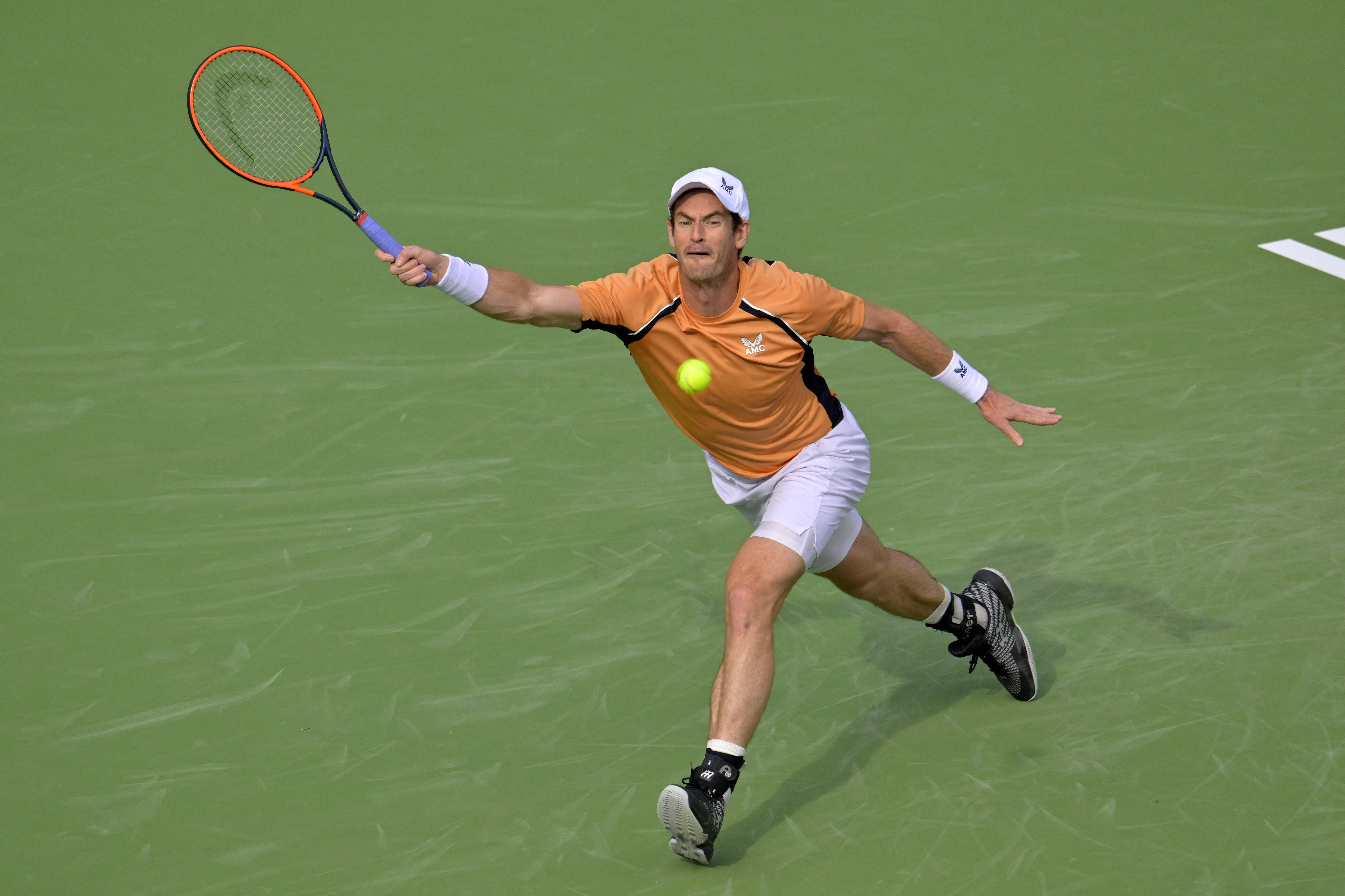 包含ATP总决赛逆转戴维斯杯，穆雷高光表现的词条