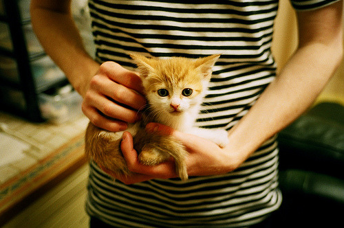 红土失意纽约圆梦，纳达尔美网逆转封神，再写传奇