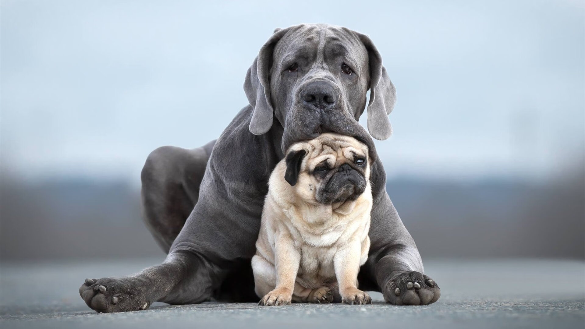 爱游戏官网-羽坛石破天惊，鏖战五局，印尼队惊天翻盘马来西亚，石宇奇杀出新王炸