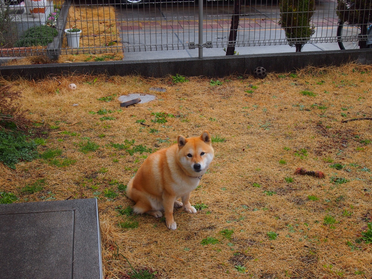 爱游戏体育-铁闸锁红魔，神剑破苍穹—巴尔韦德生涯之夜与塞维利亚防线的终极交响