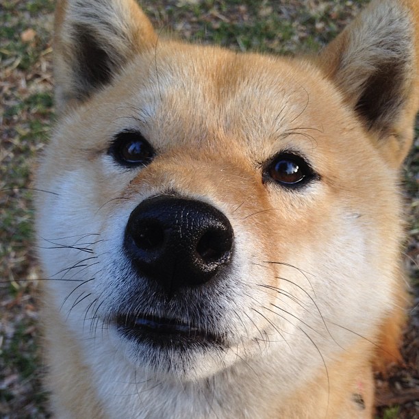 铁闸锁红魔,神剑破苍穹—巴尔韦德生涯之夜与塞维利亚防线的终极交响