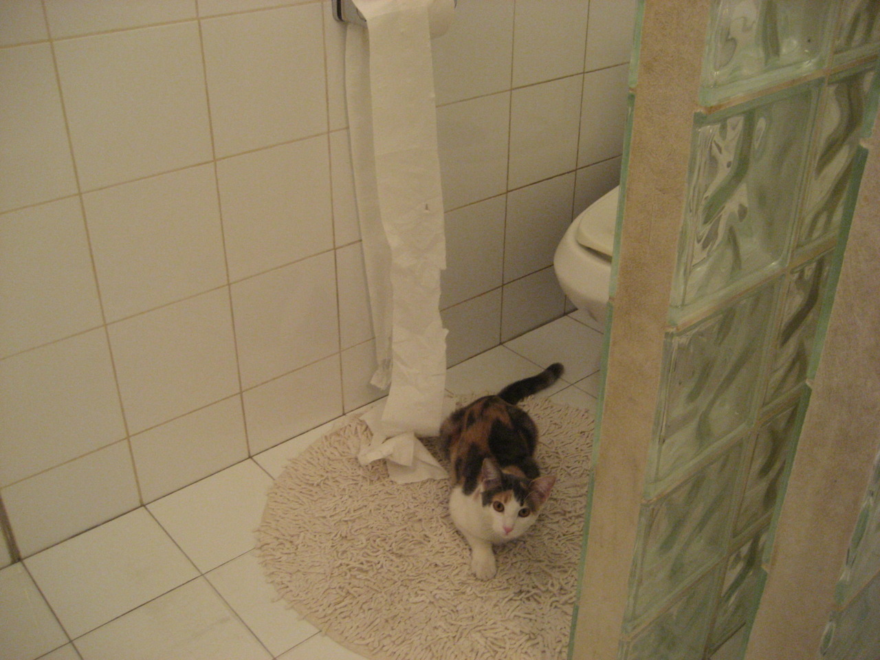 爱游戏娱乐-新大陆的加冕礼，当美国足球按下终极加速键