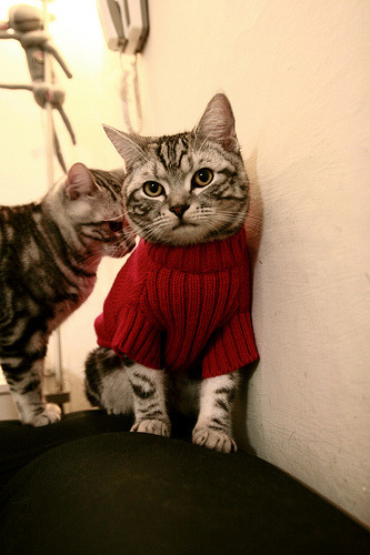 爱游戏体育-逆风之下，他是扭转一切的风暴眼—米切尔用17.6秒定义何谓关键先生