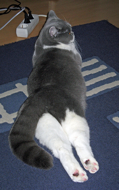 东决之夜，当老炮变成手术师