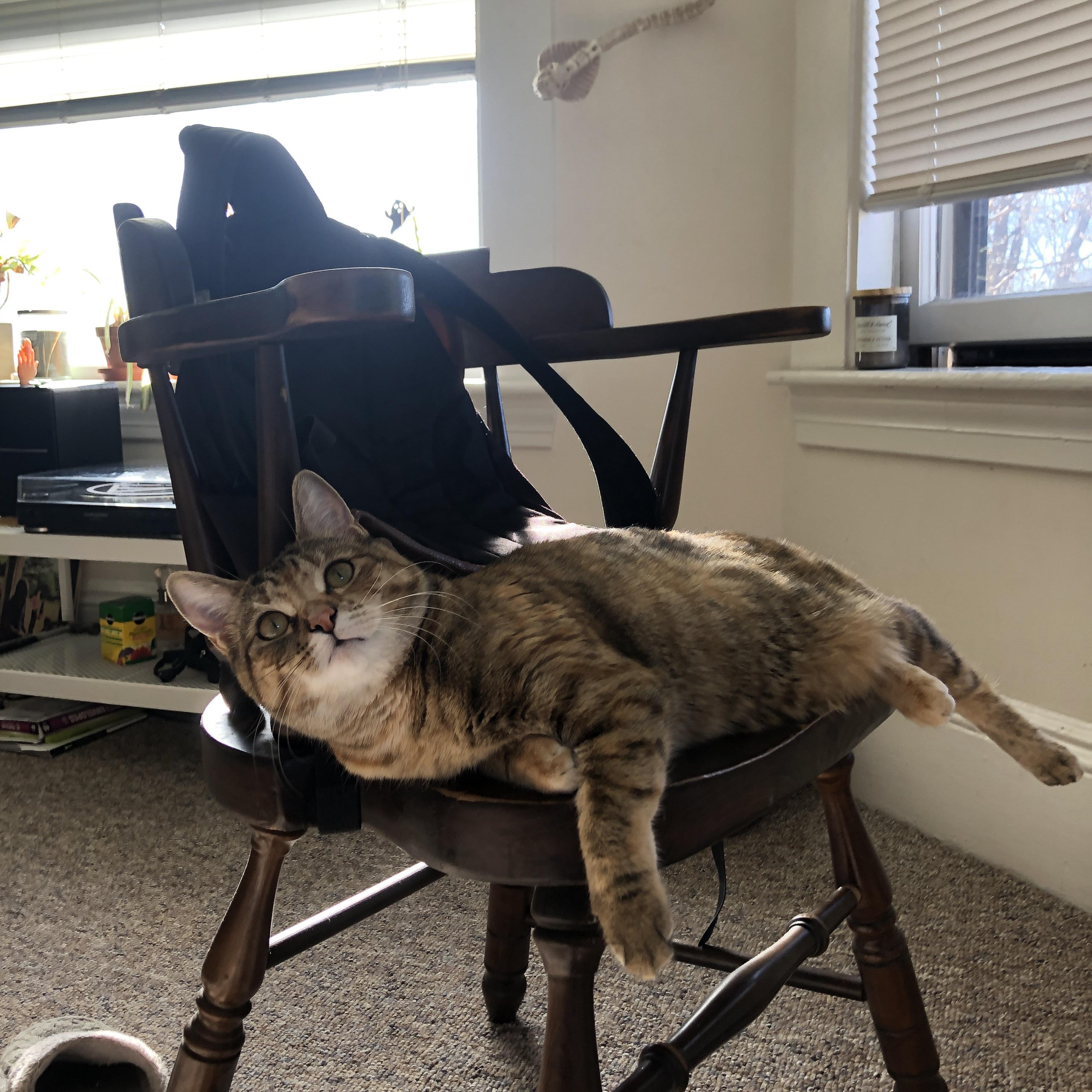 恩比德统治攻防两端,步行者力克猛龙获全场最佳无争议