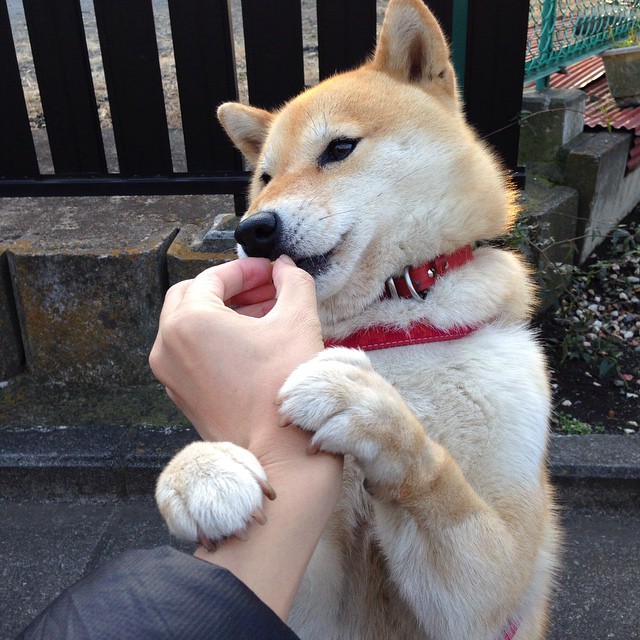 星光劈开喧嚣—弗拉霍维奇一锤定音，让世界排名的悬念在哨响前尘埃落定