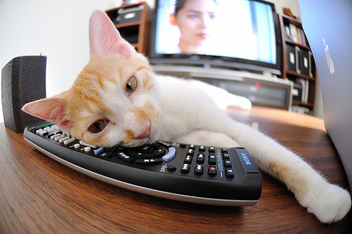 阿什拉夫苏醒，哥伦比亚用三记重拳击溃沉睡的雷恩