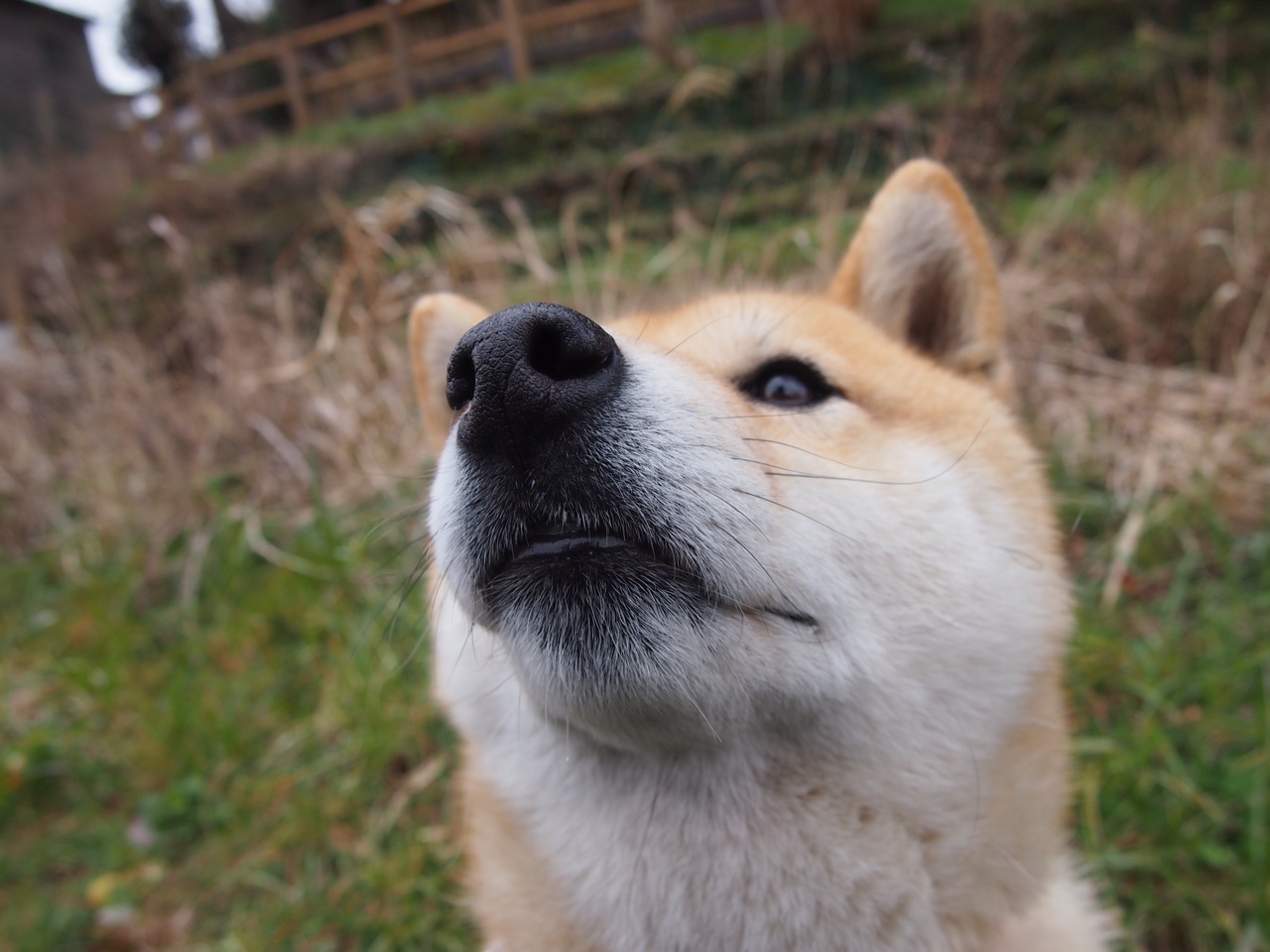 加时鏖战现英雄,亚特兰大2-1力克AC米兰,罗德里关键一击定乾坤