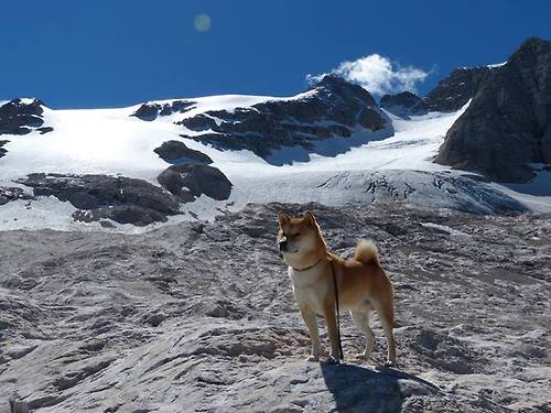 窒息攻防，帕尔默用最不F1的方式锁定王座