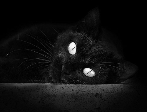 安菲尔德的交响与覆灭,利物浦用钢铁狂想曲击碎拜仁精密机器