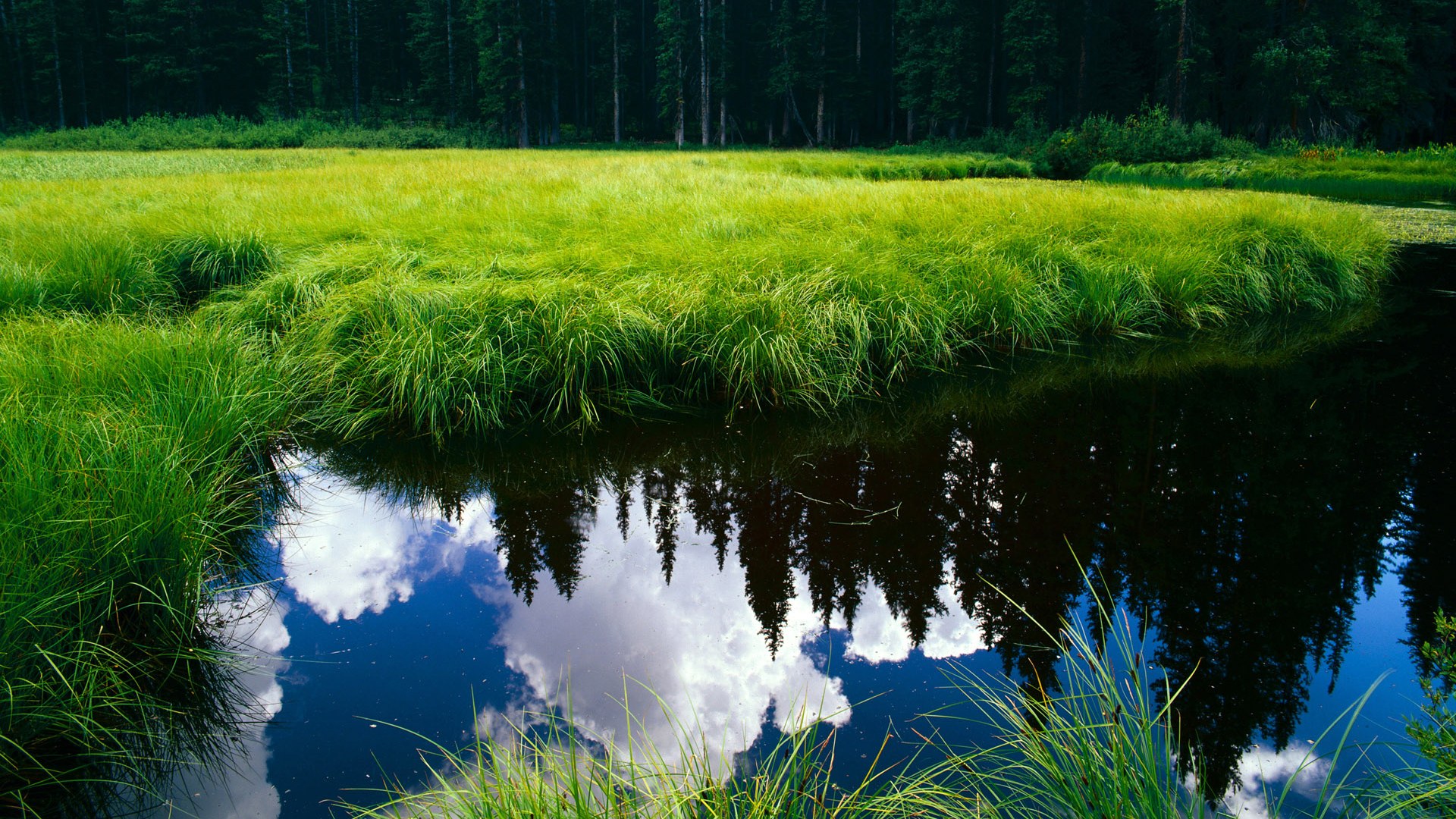 若没有苏亚雷斯，西班牙或许会败给秘鲁