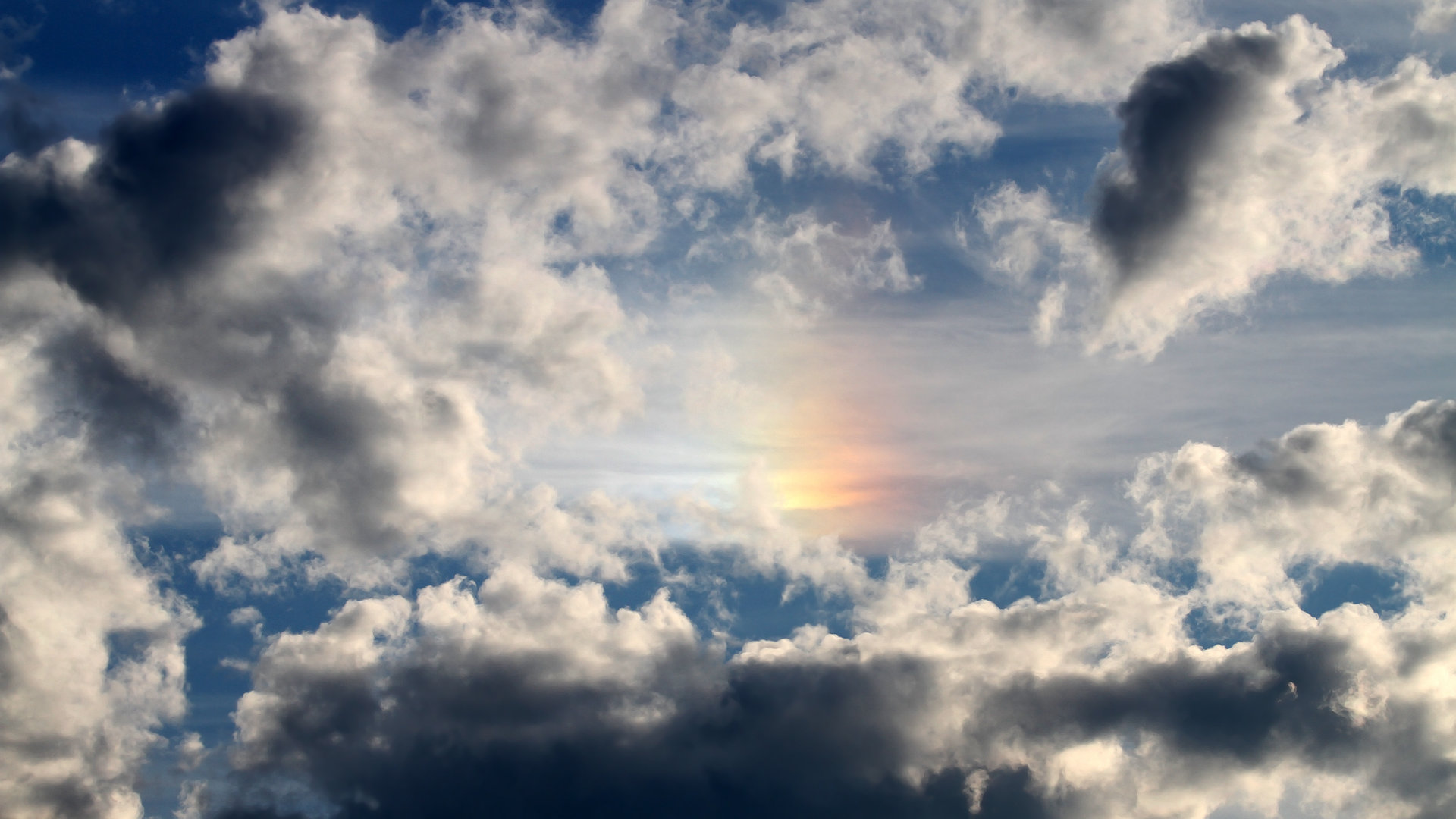 太阳燎原!范弗利特空砍准三双,独木难支难敌凤凰城立体火力网