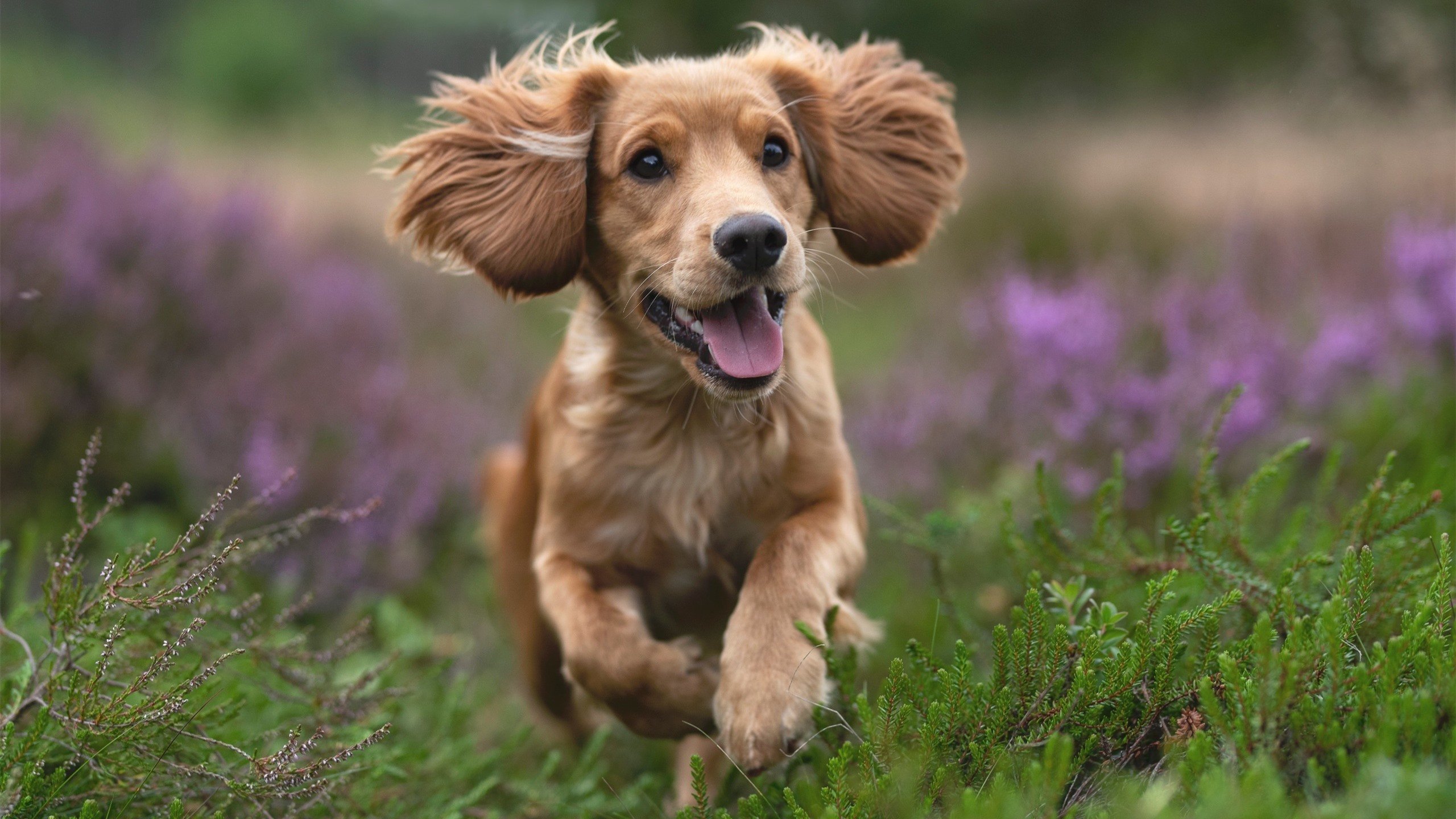 爱游戏官方入口-时空错位的对决，当东海岸奇才闯入西决