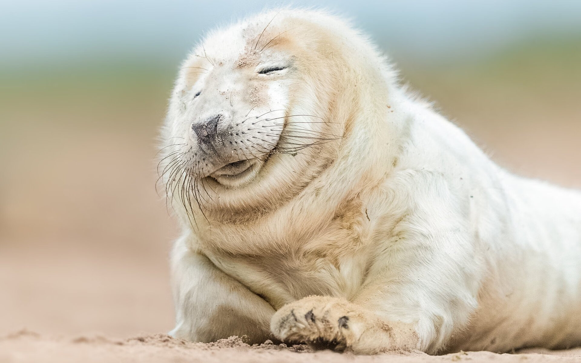 爱游戏大厅-冰与火之歌，当吉林团队绝杀照亮利拉德的个人英雄主义教科书