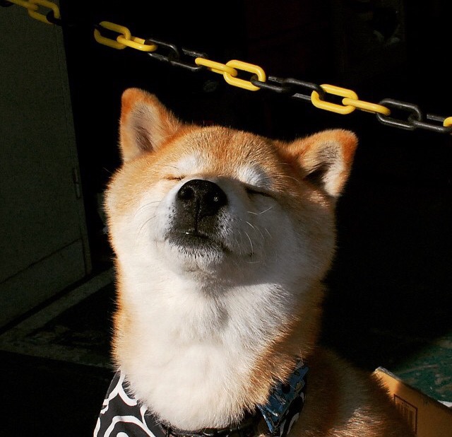 不务正业的尖刀,阿尔瓦雷斯防守端锁死核心,皇马意外大胜安哥拉