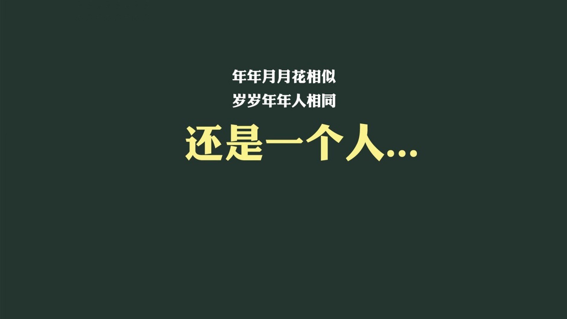 唯一的路，当郁金香绽放于十字路口—荷兰队如何用反荷兰的胜利，在2026年世界杯D组书写唯一答案